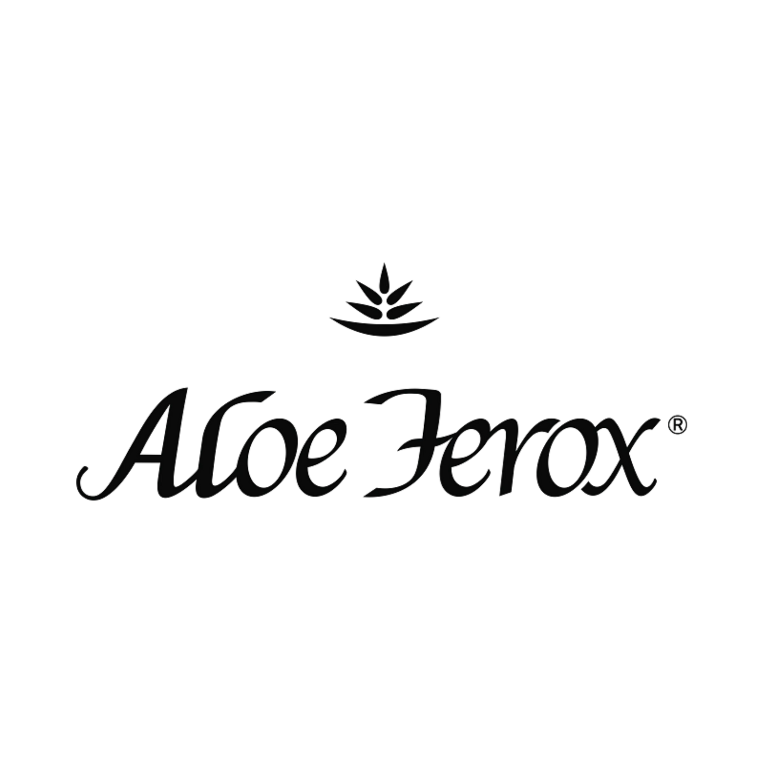 Aloe Ferox Ruby Tulip & Co.