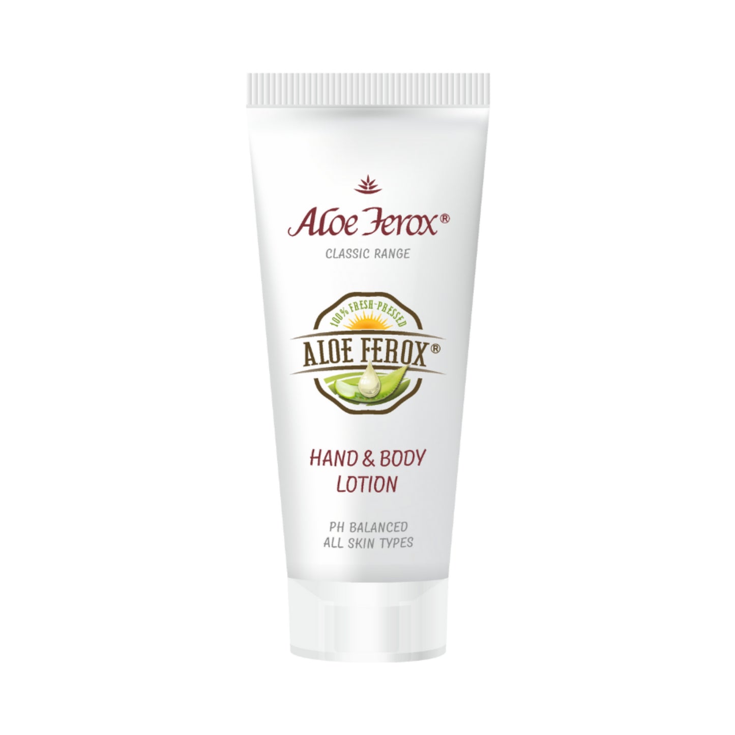 Hand & Body Lotion