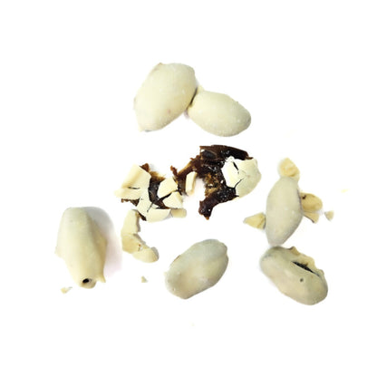 Yoghurt Coated Dates